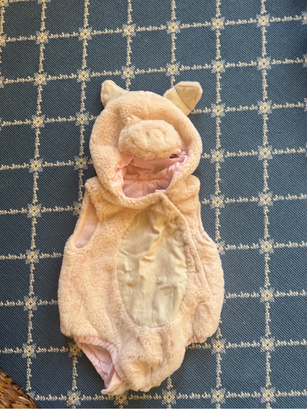 Pottery Barn Kids - Pink Pig Hooded Baby Costume